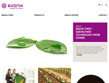 Tablet Screenshot of break-thru.com